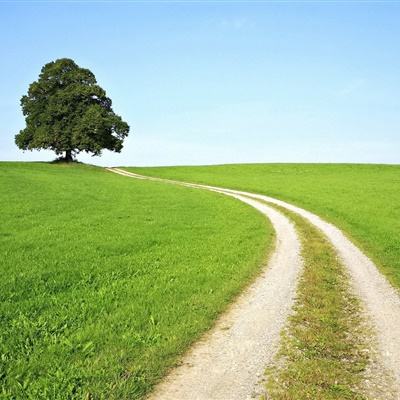 亚搏apo官网下载官方版